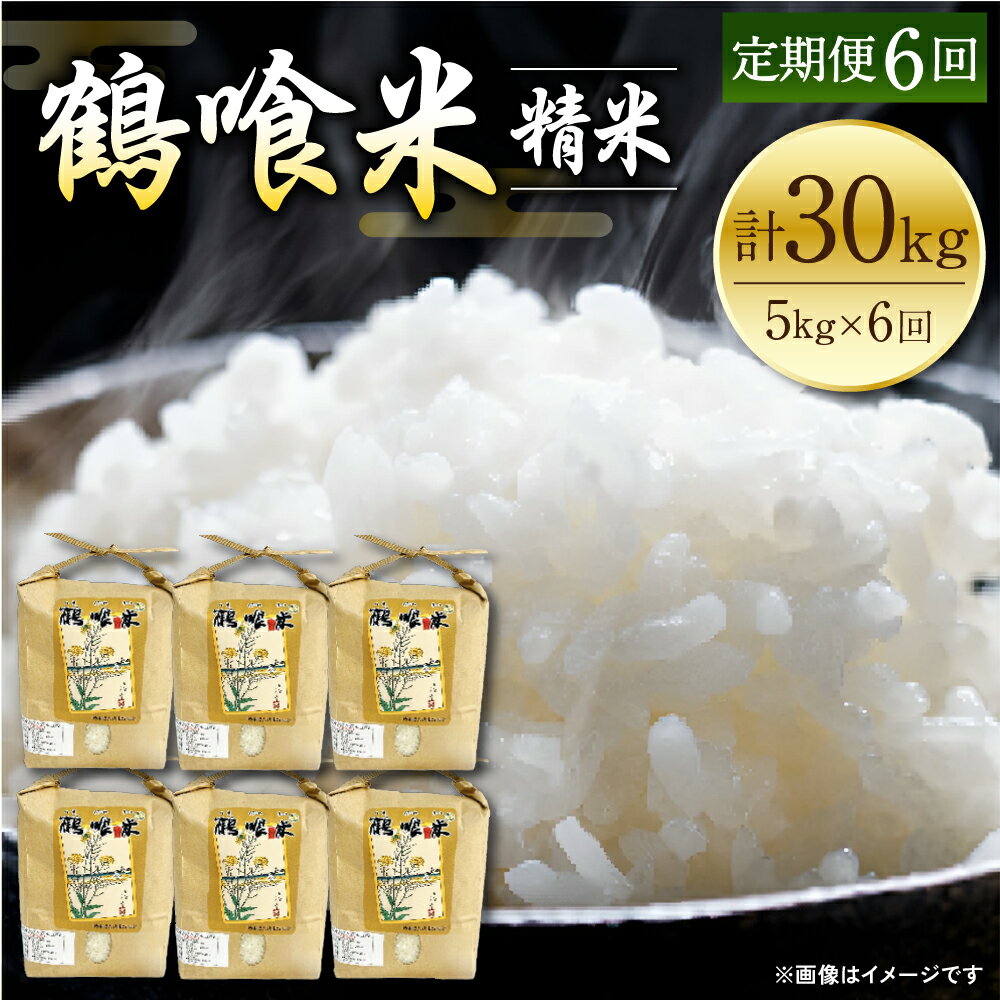 【ふるさと納税】 【先行予約】 【定期便6回】 《令和7年産》 鶴喰米 精米5kg くまさんの輝き 米 精米 白米 熊本県産 国産 送料無料 【2025年11月上旬より順次発送】