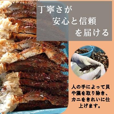 ふるさと納税 根室市 花咲がに鉄砲汁425g×9缶 F-78008 |  | 02