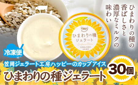 ひまわりの種ジェラート 30個セット　ジェラート アイス