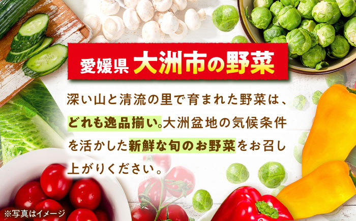 【全6回定期便】【シェフの目線】栽培期間中農薬不使用！旬のお野菜セット×クリーン白米【ふるさと納税限定】　愛媛県大洲市/有限会社ヒロファミリーフーズ [AGBX010]サラダ カレー トマト 料理 ブ