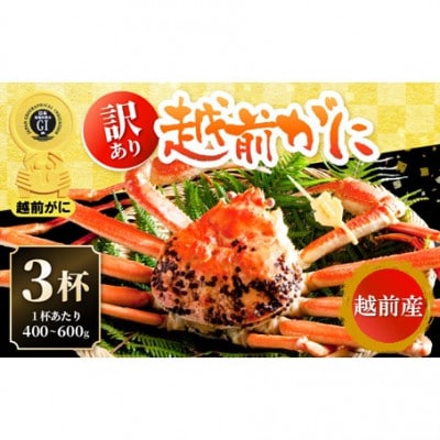 【訳あり】≪浜茹で≫越前がに 3杯(生で1杯400～600g)食べ方しおり付【2月発送予定】【配送不可地域：離島・北海道・沖縄・東北・関東・中国・四国・九州】【1564123】