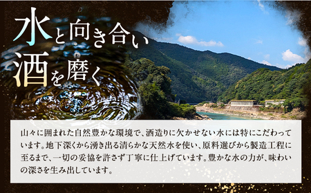 球磨焼酎 堕天使 25度 900ml 5本 焼酎 米焼酎