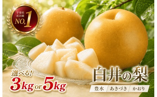 
                  【2026年先行予約】選べる品種 しろいの梨 約 3kg～5kg（豊水・あきづき・かおり） [  梨 豊水 梨 あきづき 梨 かおり 3kg 5kg 梨 千葉 梨 千葉県 和梨 なし ナシ 3キロ 5キロ フルーツ 果物 くだもの 甘い ジューシー 白昇園 白井市 ふるさと納税 ]
                