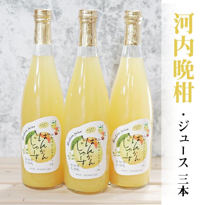 【ふるさと納税】柑橘「河内ばんかん」ジュース3本セット