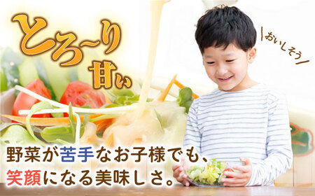 【12回定期便】スムージー専門店が作った「美味しすぎるドレッシング」300ml×4本セット（玉ねぎ・人参・ごぼう・カレー）【ビタミン・スタンド】[OAK029] / どれっしんぐ 野菜 ベジタブル や