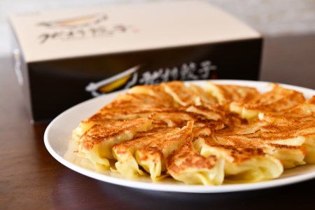 生パスタ生地で包んだ正統派の餃子「ラビオリ餃子」30個入り×2ケース（特製タレ付）【冷凍】_M86-0001