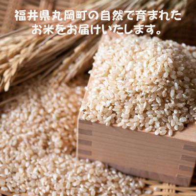 ふるさと納税 坂井市 おおかわさんちのコシヒカリ玄米30kg [F-10803] |  | 01