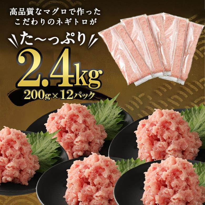 ネギトロ 大容量 2.4kg 天然マグロ使用 個包装 流水で簡単解凍 まぐろたたき ねぎとろ丼 鮪 マグロ まぐろ 高知 まぐろのたたき ねぎとろ 冷凍 小分け 便利 高豊丸 室戸市
