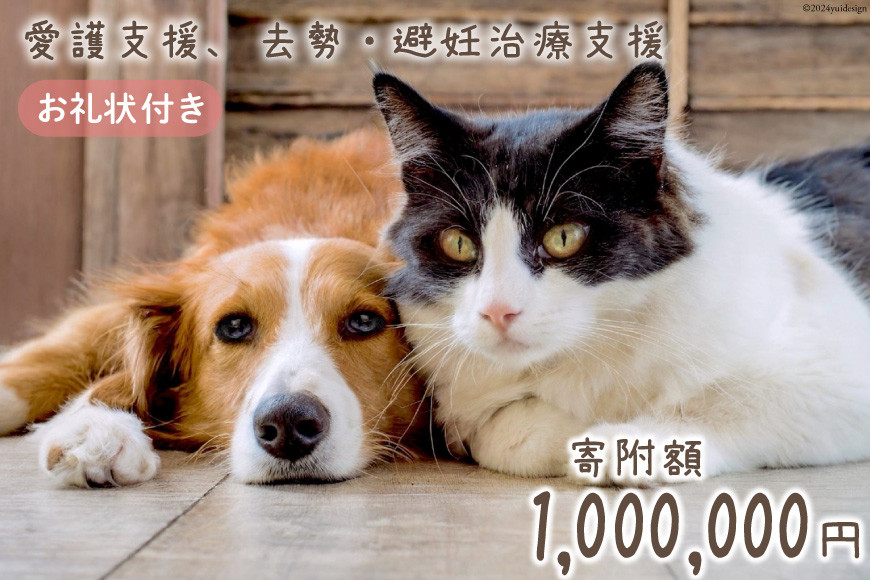 
            愛護支援 去勢 避妊治療支援 100万円分 [Animal Care Salvation 福岡県 筑紫野市 21760890] 動物 ペット 愛護 TNR 保護 動物福祉 保護施設 里親 犬 猫 イヌ ネコ 動物愛護
          