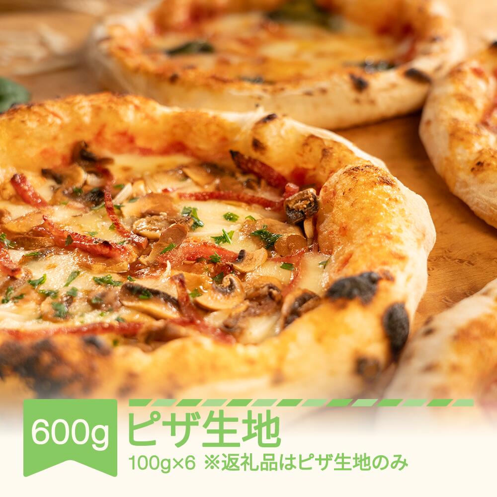 【ふるさと納税】冷凍 ピザ生地 600g (100g×6個) ピザ 送料無料 ※沖縄・離島への配送不可 nu-pzkxx600