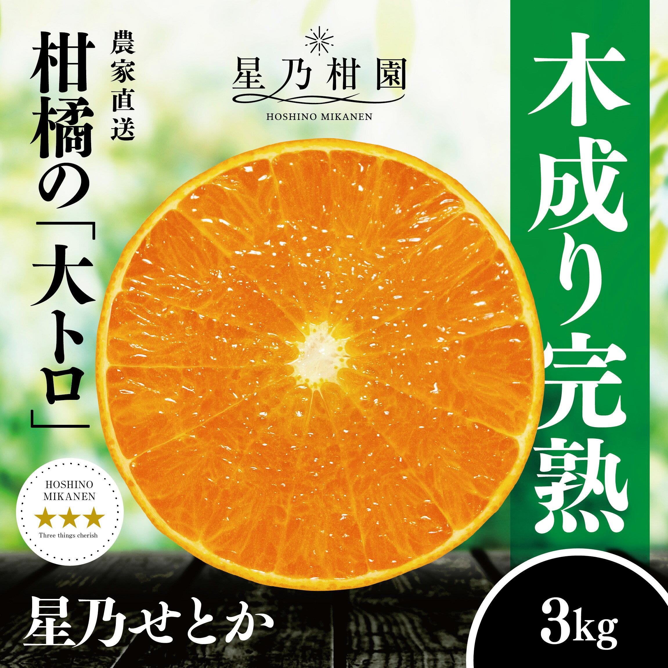 【ふるさと納税】【三つ星ブランド】星乃せとか(3kg)【D45-93】_【1625776】