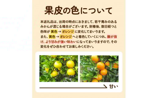 ＜先行予約＞ゆら早生みかん約5kg(2S～Lサイズ)どの坂果樹園《2025年10月中旬-12月上旬頃出荷予定》みかんゆら早生旬柑橘フルーツ果物---wshg_dsk52_10c12j_24_10000