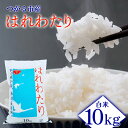 【ふるさと納税】令和6年産 はれわたり 10kg 白米｜新米 2024年産 お米 米 コメ 精米 農協 特A [0702]