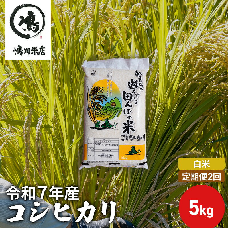 【ふるさと納税】【定期2ヶ月】コシヒカリ　白米　5kg　令和7年産 お米 銘柄米 ご飯 おにぎり お弁当 和食 食卓 精米 国産 千葉県産 産地直送