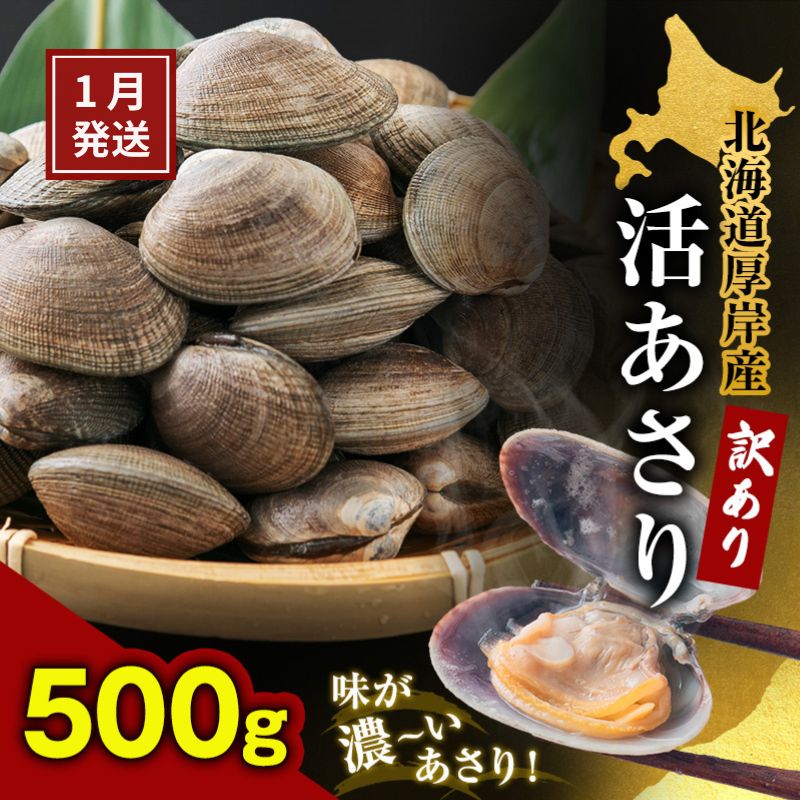 【ふるさと納税】1月発送 北海道 厚岸産 訳あり 活あさり 500g アサリ 魚貝 海鮮 大粒 美味しい 栄養 旨み 砂出し 水洗い 冷蔵 冷凍保存可能 便利　お届け：2026年1月8日～30日