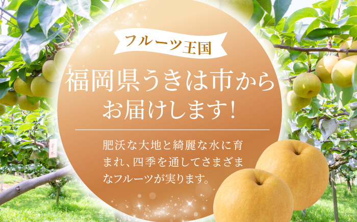 新高梨 6～10玉 （約5kg）