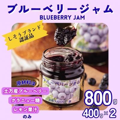 ふるさと納税 宍粟市 果実たっぷり ブルーベリージャム 800g(400g×2本)　BW1