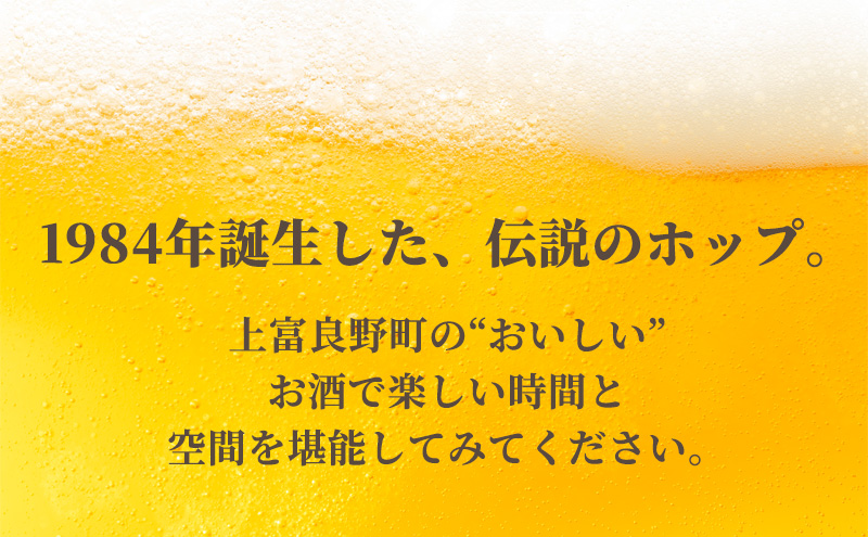 ◆3ヶ月定期便◆上富良野町発祥！伝説のホップ「ソラチエース」使用【SORACHI 1984】350ml×24缶 北海道 上富良野町 ソラチ1984 お酒 酒 飲み物 ビール 地ビール サッポロビール 