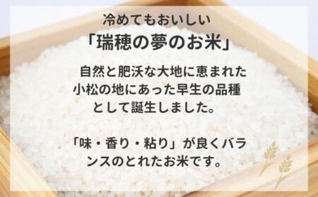 【先行予約】【定期便】 こしひかり 小松市産 ゆめみづほ 精米  5kg×12ヶ月（毎月）米 小松市産こしひかり 石川県【JA小松市】