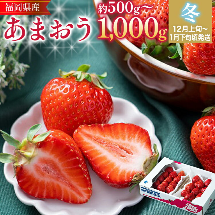 【ふるさと納税】福岡産【冬】あまおう いちご 苺 果物 フルーツ 九州産 福岡県産 冷蔵 送料無料 【12月上旬発送開始予定】 イチゴ フルーツ 果物 くだもの ブランド 国産 甘味 果汁