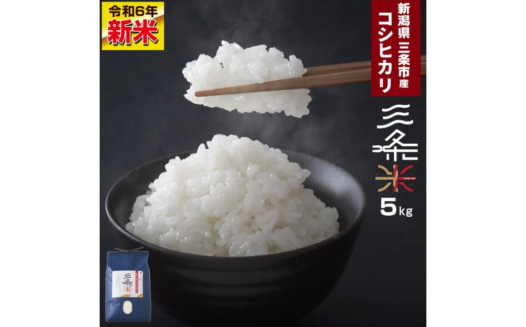 
            新潟県三条市産 コシヒカリ 三条米 5kg 一人暮らし 【010S393】
          