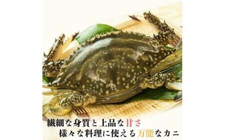 【北海道・東北・沖縄・離島配送不可／着日指定必須】宇部産 ワタリガニ 約600ｇ 2～3杯入り ワタリガニ 宇部