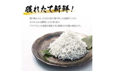 《3ヶ月定期便》高知県産釜揚げしらす500g 定期便 定期コース 3回 簡易梱包 シラス 小分け 国産 釜揚げ しらす丼 海鮮丼 お茶漬け ごはん 軍艦巻き 冷凍配送 おかず おつまみ お楽しみ