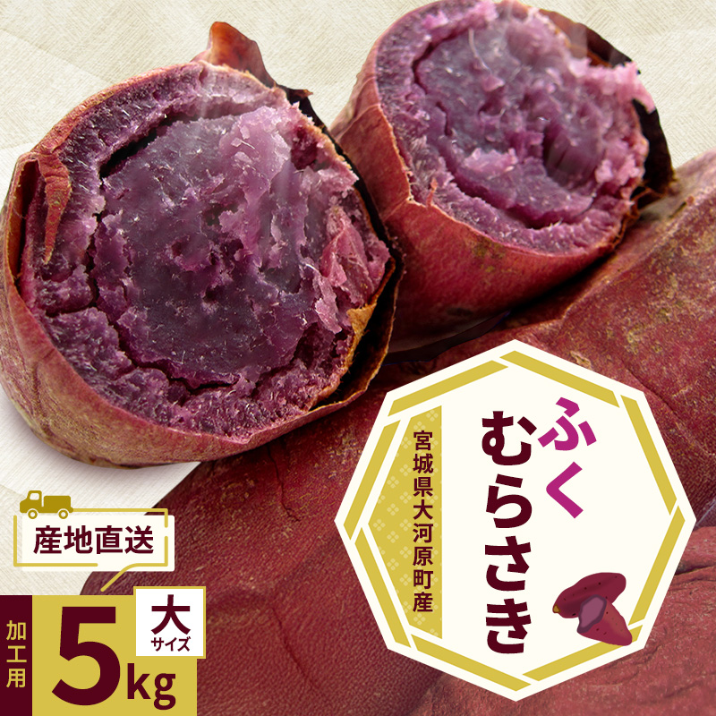 さつまいも 約5kg ふくむらさき 加工用 大きいサイズ サツマ