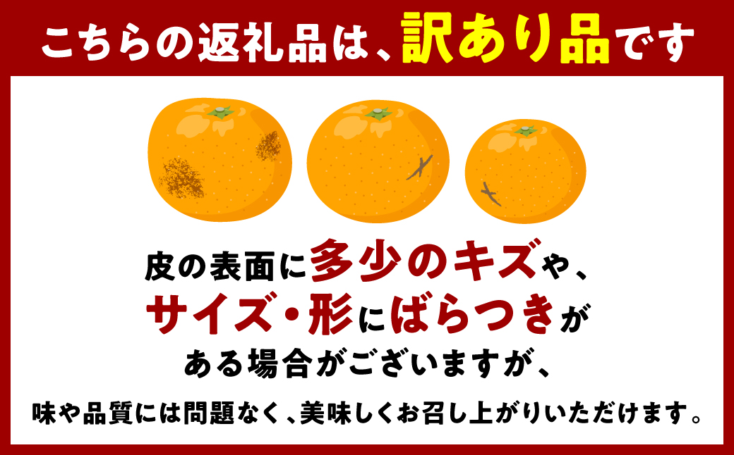 【訳あり】みかん 家庭用 (3S～3Lサイズ) 約5kg 八代市産 熊本 ご家庭用 蜜柑 ミカン 柑橘 くだもの 果物 フルーツ デザート