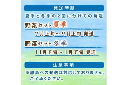 SORA農園有機野菜セット年2回（夏季・冬季）お届け