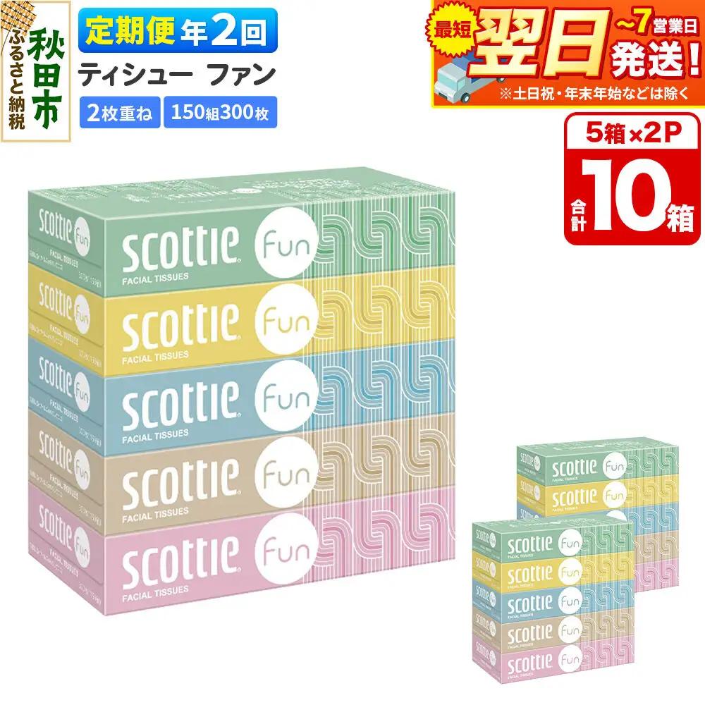 《6ヶ月ごとに2回お届け》定期便 ティッシュペーパー スコッティ ティシュー ファン 150組 5箱×2パック 秋田市オリジナル 最短翌日発送
