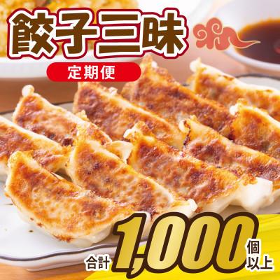ふるさと納税 泉佐野市 【毎月定期便】【合計1000個以上】餃子三昧 自家製 薄皮 手作り 全12回