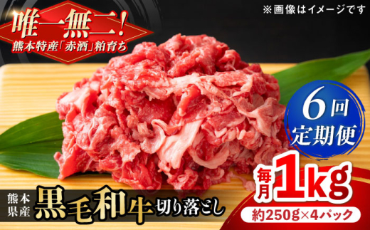 【全6回定期便】熊本県産 『原田畜産』 黒毛和牛 切り落とし 計約1kg（約250g×4パック）/ 熊本 牛 肉 黒毛和牛 切り落とし 肉じゃが プルコギ ビーフ カレー 肉料理 【有限会社 九州食肉産業】 [AYCN046]