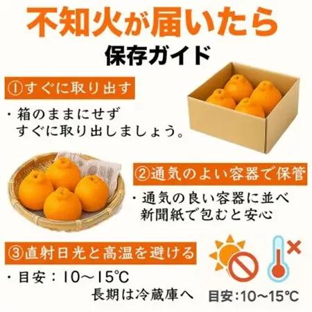 【先行予約】熊本県産 不知火 甘さが濃厚でジューシー! デコみかん 12～24玉 約5kg(益城町)【1726328】
