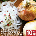 【ふるさと納税】水俣サラダ玉ねぎ 約10kg たまねぎ 玉葱 オニオン サラダ 野菜 国産 九州 熊本県産 水俣市産 送料無料【2025年4月下旬‐5月下旬発送】