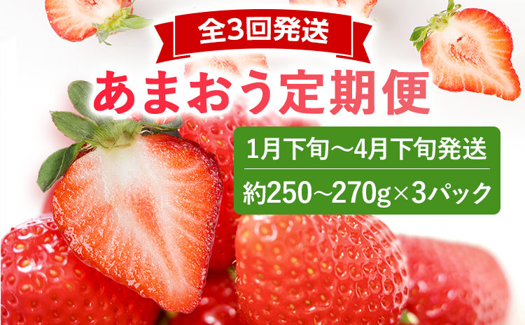 【2027年先行いちご定期便】 あまおう 3パックｘ3回 （1月下旬～、2月～、3月～発送）お取り寄せグルメ お取り寄せ 福岡 お土産 九州 福岡土産 取り寄せ グルメ 福岡県