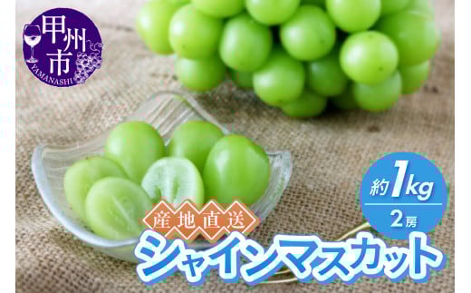 産地直送やみつきシャインマスカット 約1kg（2房）【2026年発送】（RC）B-434
