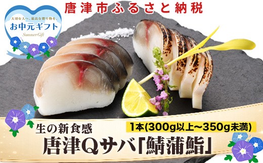 
                  「お中元」生の新食感 唐津Qサバ「鯖蒲鮨」1本(300g以上～350g未満) さば 蒲鉾 かまぼこ おつまみ ギフト 鯖 サバ 唐津 Qサバ 鯖鮨 呼福 大志 水産 魚 海鮮 水産加工
                