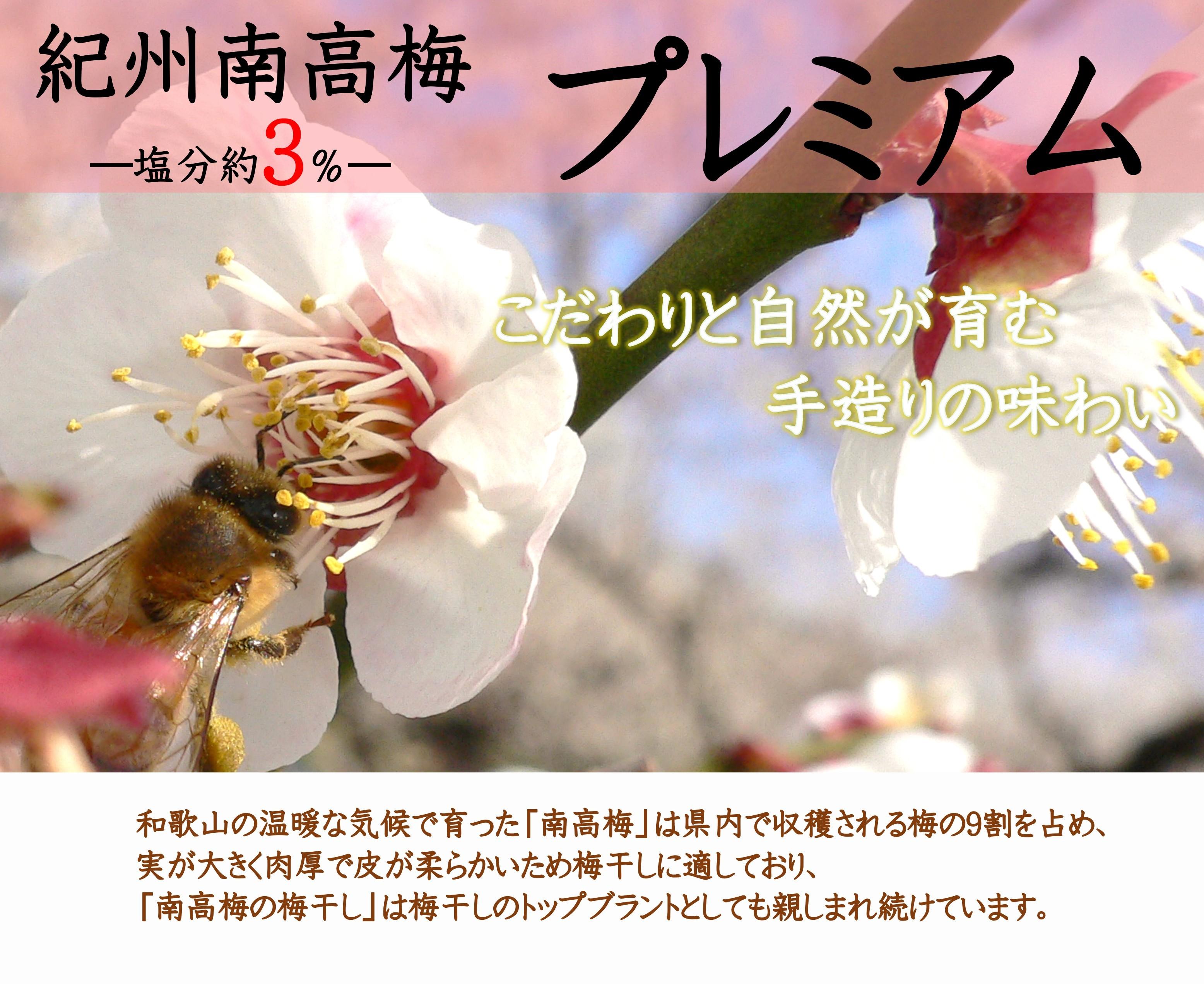 紀州南高梅 プレミアム 塩分約3％ 500g ［YM11m］ A-094a