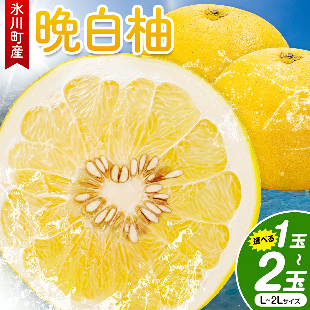 【ふるさと納税】晩白柚 選べる 1玉 2玉 Lサイズ 2Lサイズ ばんぺいゆ 熊本《1月上旬-1月末頃出荷》熊本県 氷川町 果物 フルーツ 熊本県産 晩白柚 ばんぺいゆ