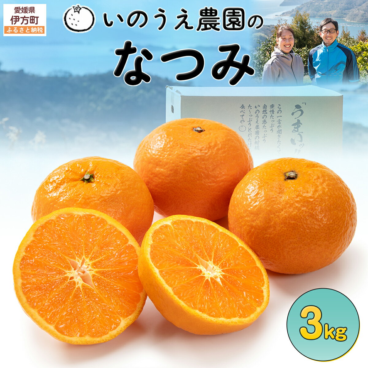 【ふるさと納税】【先行予約】いのうえ農園のなつみ 3kg ※離島への配送不可 (※2027年5月上旬頃より順次発送) IKTAI001
