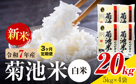 【3ヶ月定期便】熊本県産 菊池米 白米 20kg 1袋5kg 米 お米 令和7年産 九州産 熊本県産  送料無料《お申込み翌月に出荷予定》 白米 米
