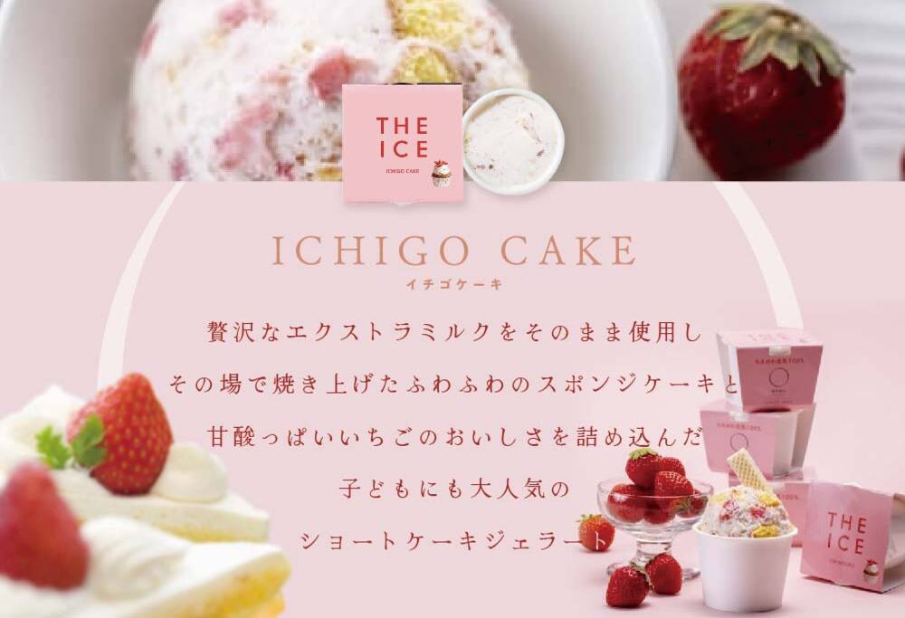 【毎月定期便】【THE ICE】いちごケーキ6個セット×4ヵ月定期便【be003-1070-100-4】( アイス ジェラート )