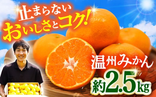 〈先行予約〉【11月中旬頃～1月中旬配送】温州みかん 約2.5kg / みかん ミカン 蜜柑 柑橘 かんきつ うんしゅうみかん 2.5kg フルーツ 果物 くだもの 長崎県産 フレッシュ 甘い S M L サイズ  / 大村市 / 山光農園[ACAI001]