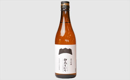ビールと日本酒セット　クラフトビール330ml×6本　純米吟醸 720ml　