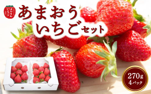 よかもんいちご あまおう苺セット4パック 2024年12月中旬から12月下旬 出荷予定