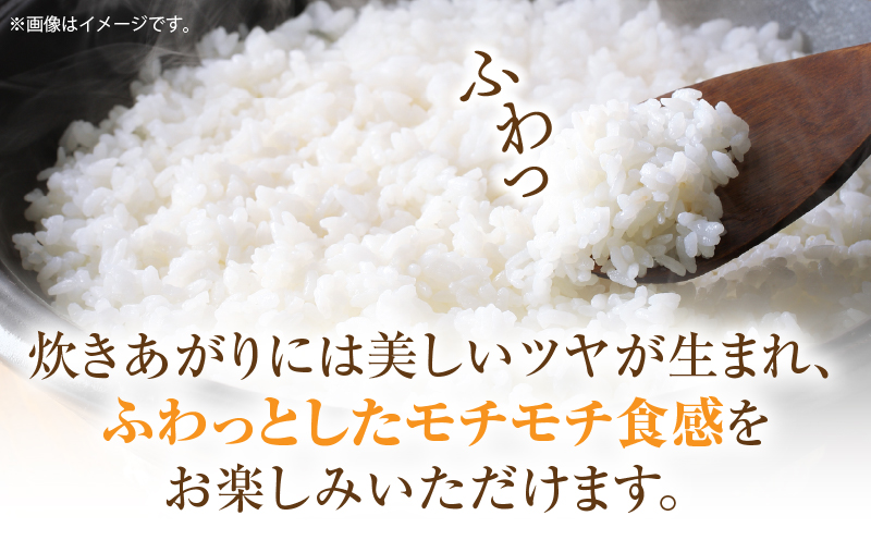 ＜数量限定＞【令和7年度産】里山の誇り 朝倉獅子米 コシヒカリ 5kg | 新米 コシヒカリ こしひかり 5kg 米 白米 ごはん ご飯 白ご飯 おにぎり お弁当 おむすび お米 国産 美味しい ツヤ