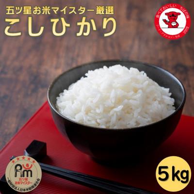 ふるさと納税 銚子市 千葉県産コシヒカリ 5kg【お米マイスター厳選】