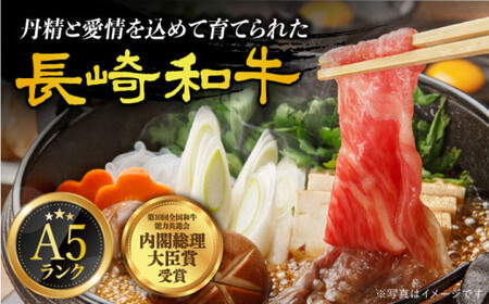 【全12回定期便】【 A5ランク 】 長崎和牛 赤身定期便 《小値賀町》【有限会社肉の相川】[DAR035] モモステーキ 切り落とし ミスジ ヒレ ヒレ肉 国産 和牛 長崎和牛 牛肉 ステーキ 焼肉