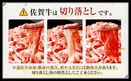 博多和牛 ステーキ （モモ） 10枚 （計約1kg） ＋ 佐賀牛 切り落とし 400g ／ 黒毛和牛 黒毛和種 和牛 牛肉 お肉 肉 もも モモ肉 もも肉 霜降り セット 国産 九州 福岡県 太宰府市